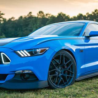 Mustang blue wallpaper