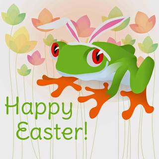 Easter frog wallpaper