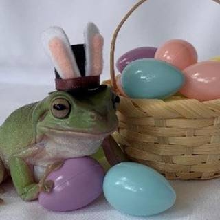 Easter frog wallpaper