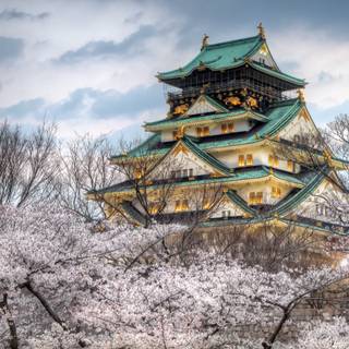 Spring Japan desktop wallpaper