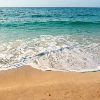 Beach shore wallpaper