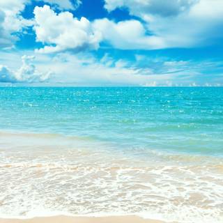 Beach shore wallpaper