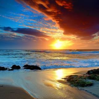 Beach shore wallpaper