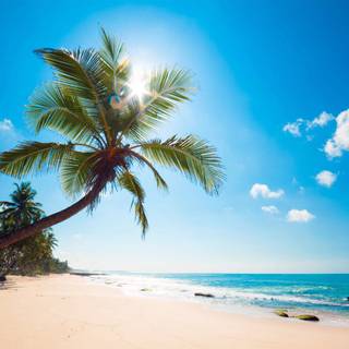 Beach shore wallpaper