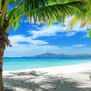 Beach shore wallpaper