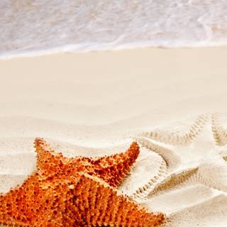 Beach shore wallpaper