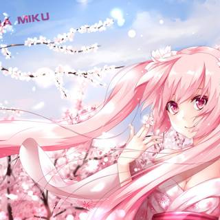 Sakura Hatsune Miku wallpaper