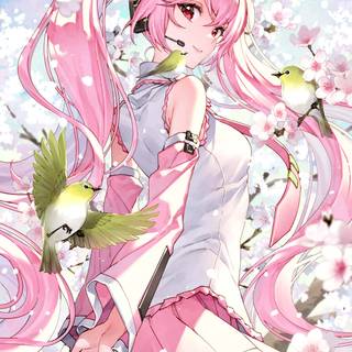 Sakura Hatsune Miku wallpaper