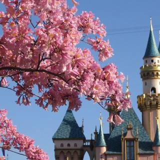 Disney aesthetic spring wallpaper