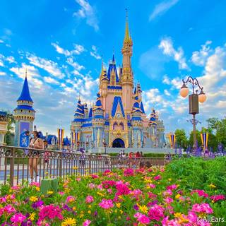 Disney aesthetic spring wallpaper