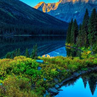 Spring iPhone XR wallpaper