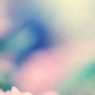 Spring iPhone XR wallpaper