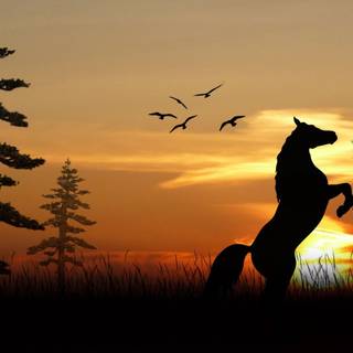Sunset with horses wallpaper