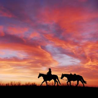 Sunset with horses wallpaper