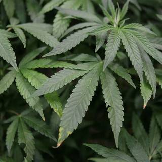 Doctor Strain wallpaper