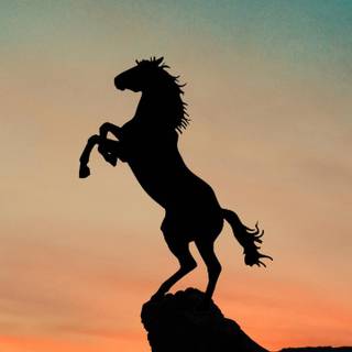 Sunset with horses wallpaper