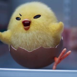 Shakipiyo and Gudetama wallpaper