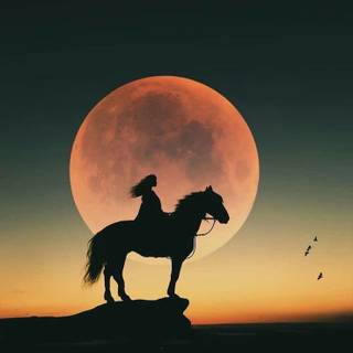 Sunset with horses wallpaper