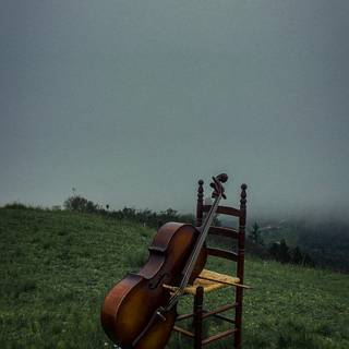 Violoncello wallpaper