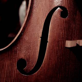 Violoncello wallpaper