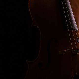 Violoncello wallpaper