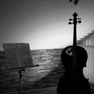 Violoncello wallpaper