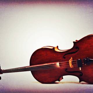 Violoncello wallpaper