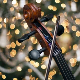 Violoncello wallpaper