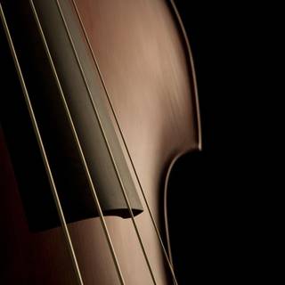 Violoncello wallpaper