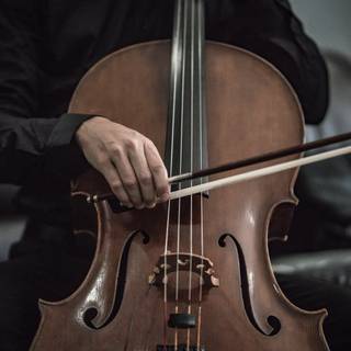 Violoncello wallpaper
