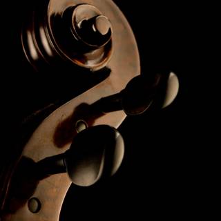 Violoncello wallpaper