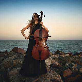 Violoncello wallpaper