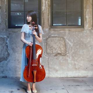 Violoncello wallpaper