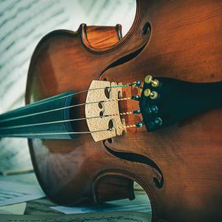 Violoncello wallpaper