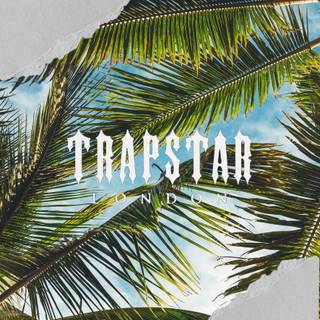 Trapstar logos wallpaper