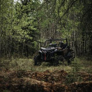 Can Am XMR wallpaper