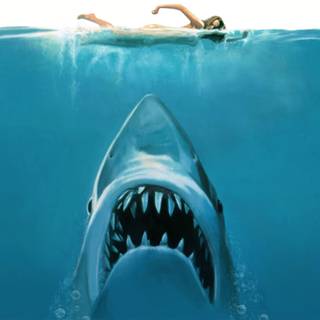 Jaws 2 wallpaper
