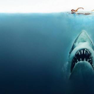 Jaws 2 wallpaper