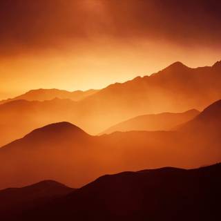 Orange landscape wallpaper