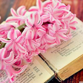 Spring flower book wallpaper
