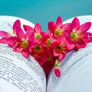 Spring flower book wallpaper