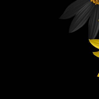 Yellow spring flowers wallpaper