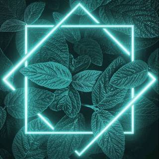 Cool 4k iPhone 13 wallpaper