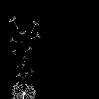 Dark aesthetic cute objects wallpaper