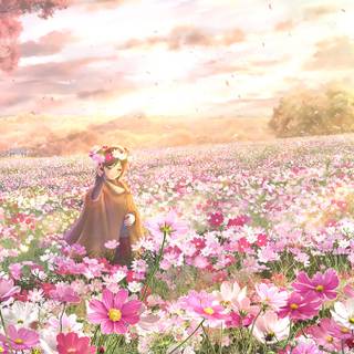 Anime flower field wallpaper