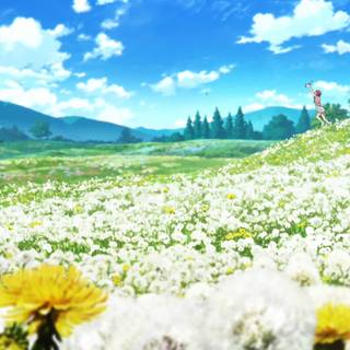 Anime flower field wallpaper