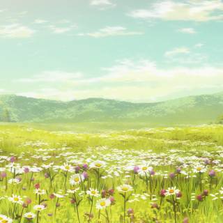 Anime flower field wallpaper