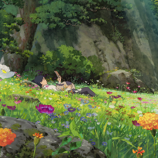 Anime flower field wallpaper
