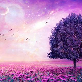 Anime flower field wallpaper