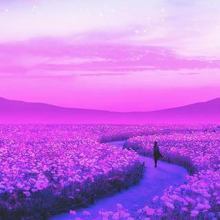 Anime flower field wallpaper